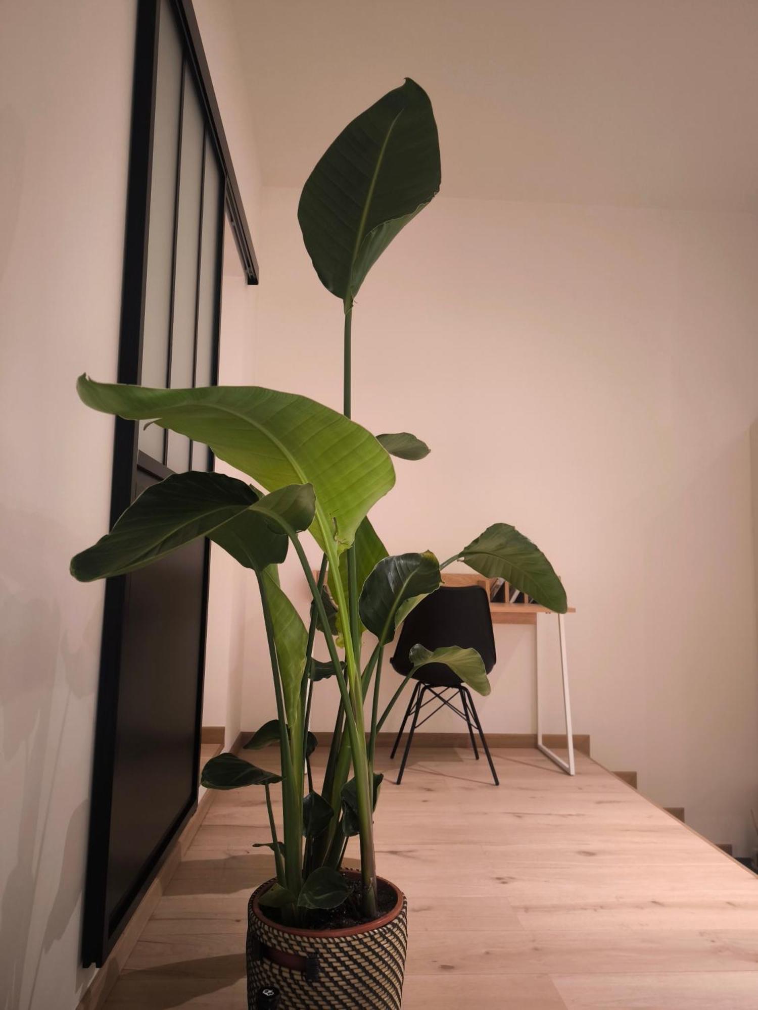 Le Castel Mosan Apartment Намюр Екстериор снимка