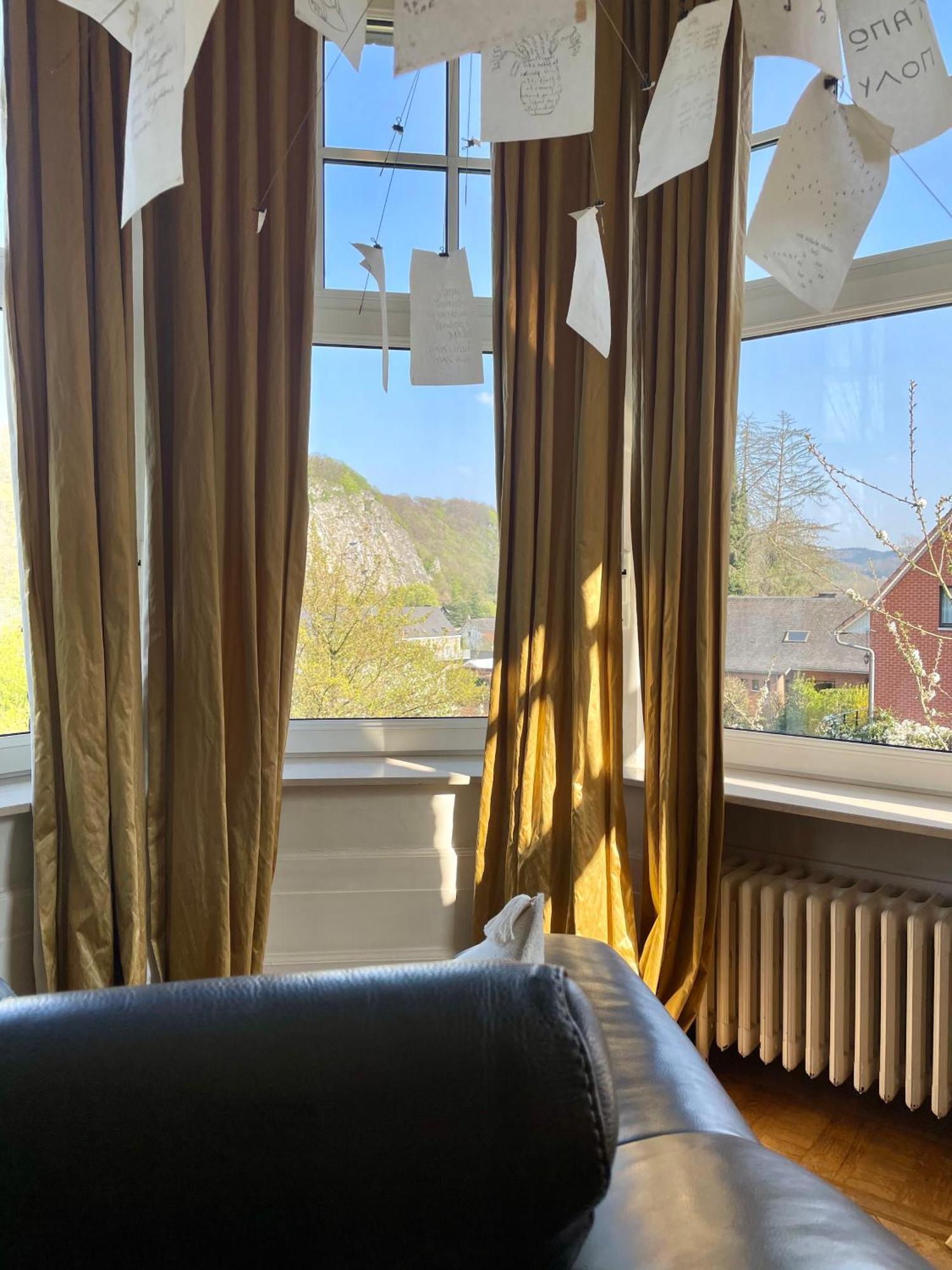 Le Castel Mosan Apartment Намюр Екстериор снимка