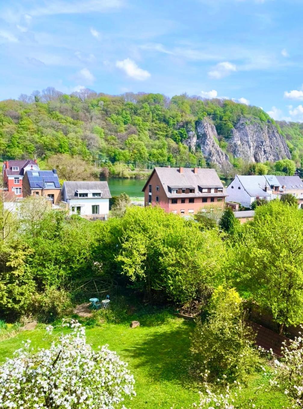 Le Castel Mosan Apartment Намюр Екстериор снимка